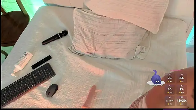 linaa_1 webcam