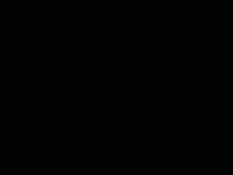 jelkem webcam