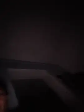tripexnte webcam