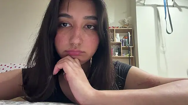 PaintedDisplay webcam
