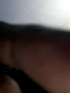 FallibleForaging webcam