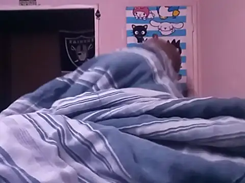Blkstylion webcam
