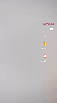 Lovensetest webcam