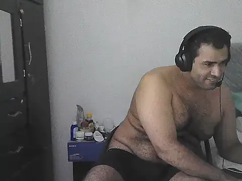 IronSideBear