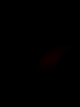 S7LEALTADPERVLIMA7 webcam