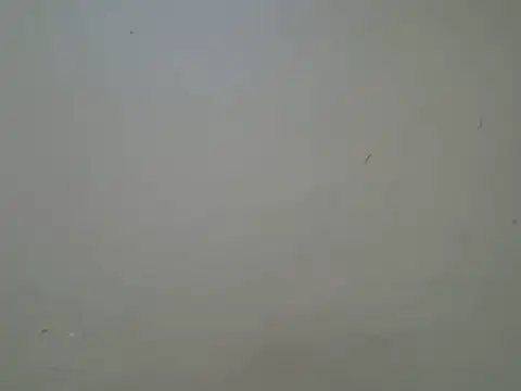 Talishabae webcam