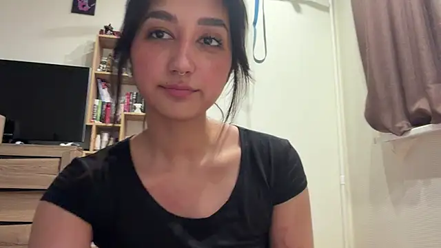 PaintedDisplay webcam