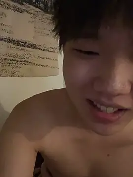 zcdda webcam