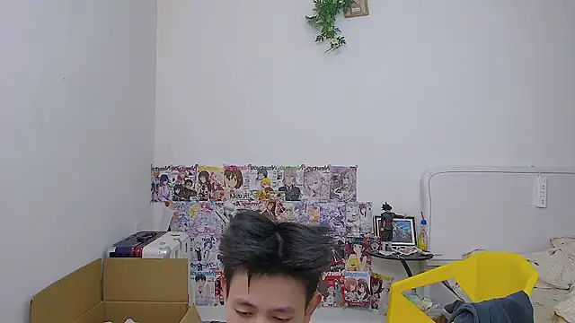 Tomato-888 webcam