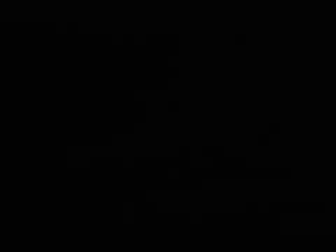 jelkem webcam