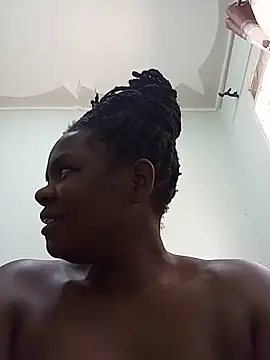 mem254 webcam