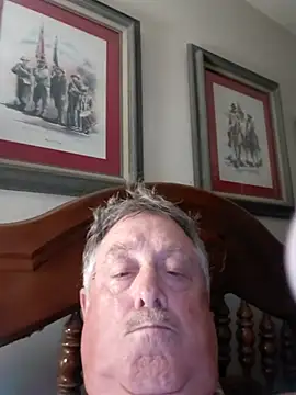 holland61 webcam