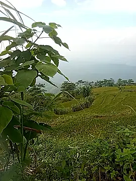 Heryy_xx webcam