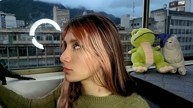 Feniix__ webcam