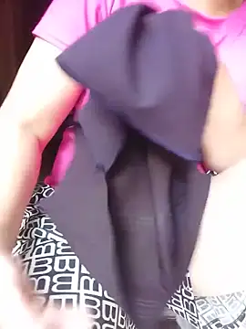 Ppmaivang webcam