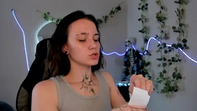 Elastikisss webcam