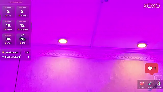 MoliBunny webcam