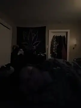 flymammi13 webcam