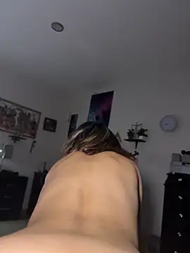 3littles webcam