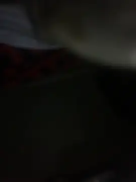 ldnick69's live room