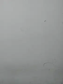 sexy_shital webcam