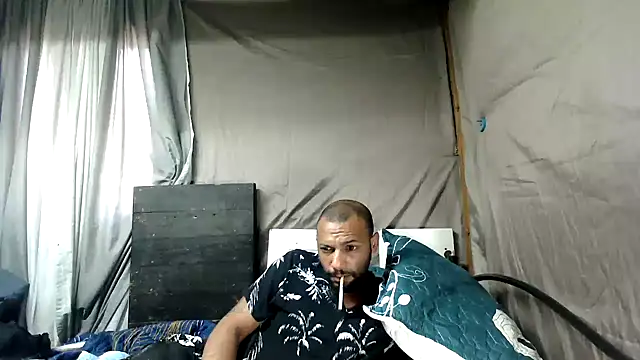 Camodick webcam