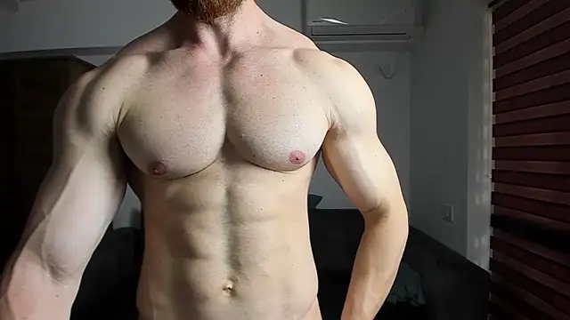 ZkkBlitz webcam