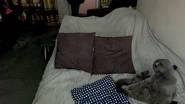 sex2 webcam