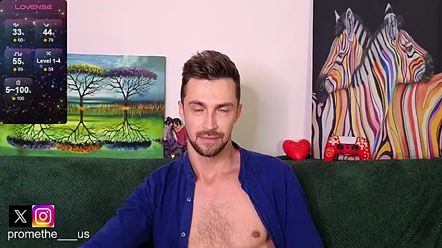 Promethe_us webcam