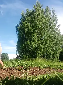 _uncle_Mitya-43_ webcam