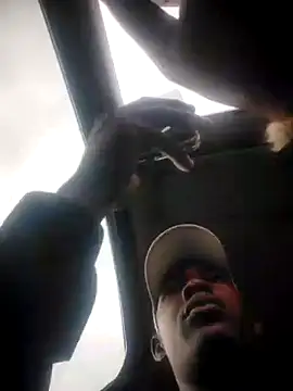 zuludog webcam