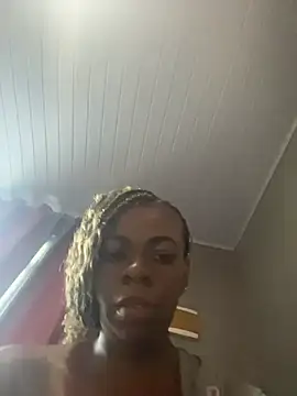 Priihmedeiros webcam