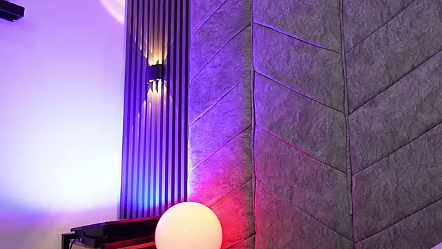 Rynka_ webcam