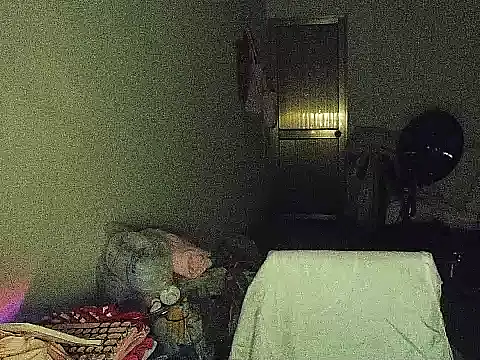 RebelAura webcam