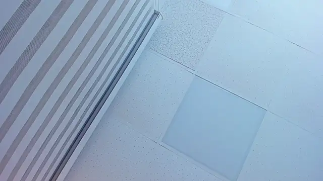 Monelyaselyn - Trans webcam sex chat