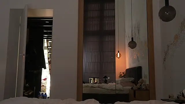 ibiddi webcam