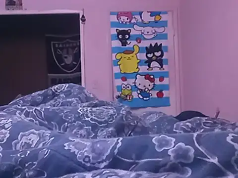 Blkstylion webcam
