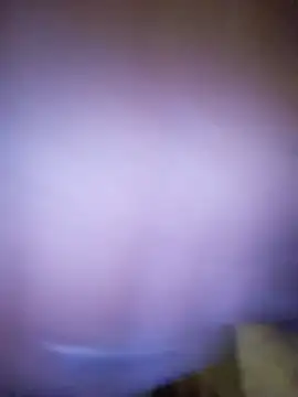 DiamondDaisy webcam