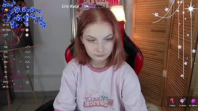 nortellii webcam