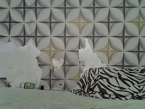 fine_grap webcam