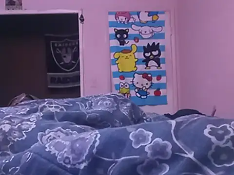 Blkstylion webcam