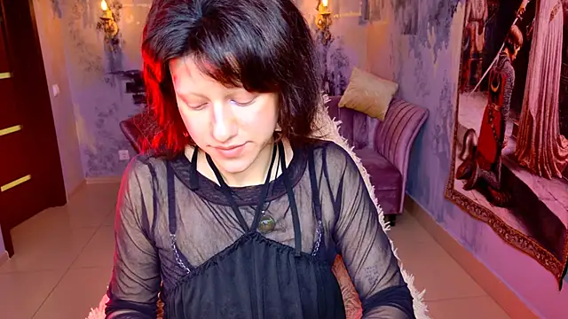 LidaDarknet webcam