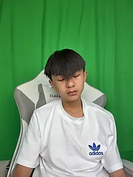 DD-101 webcam