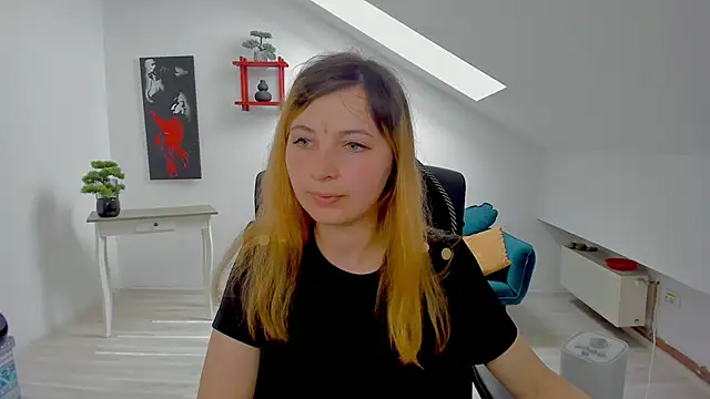 CamelliaStone webcam