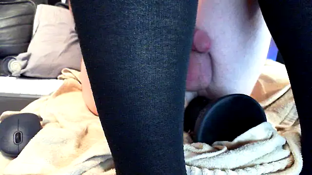 eurodiznee webcam