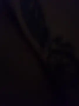 kte99 live cam