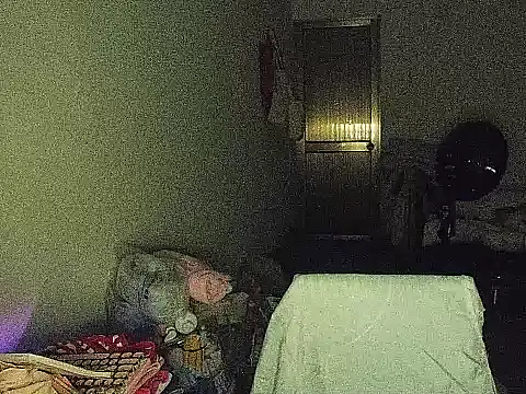 RebelAura webcam