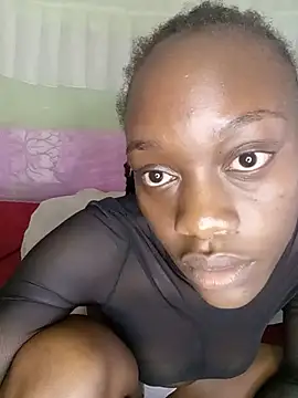 Paulahaze webcam