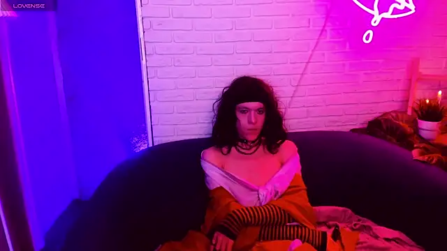 ShinMe webcam