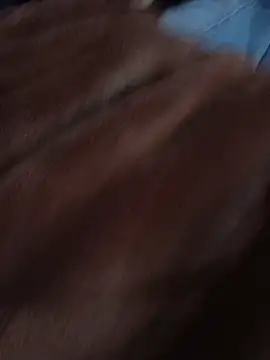 Andytje1234 webcam
